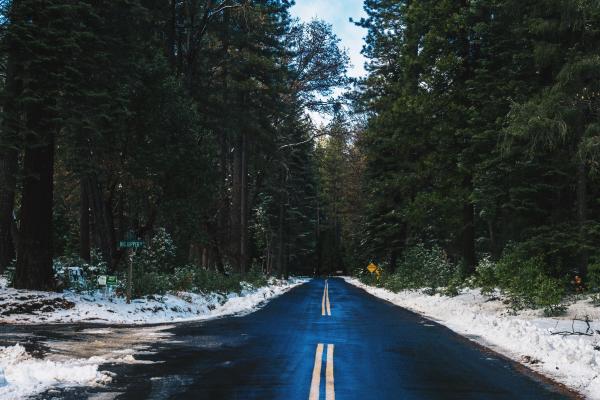Road in Winter