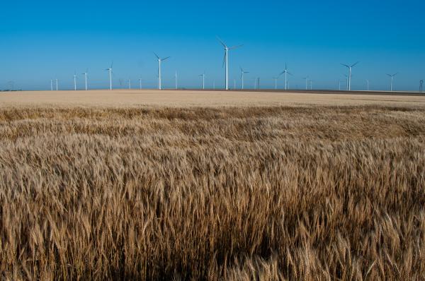Road Trip: Windmills
