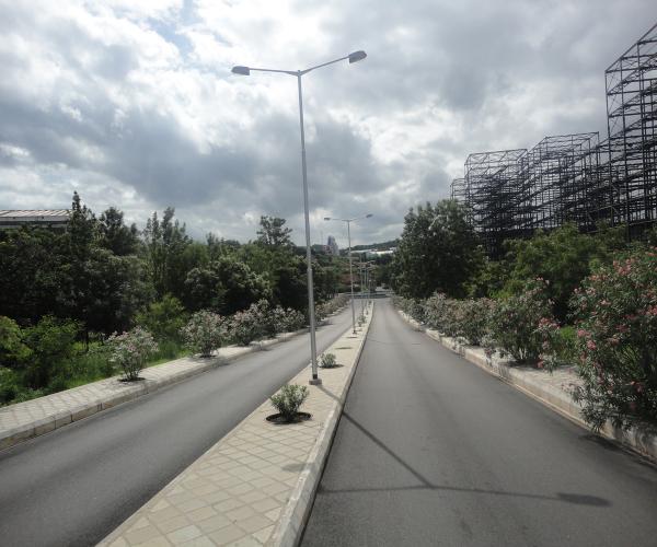 Road with Light Lamps