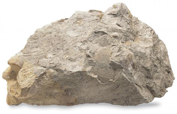 Rocks