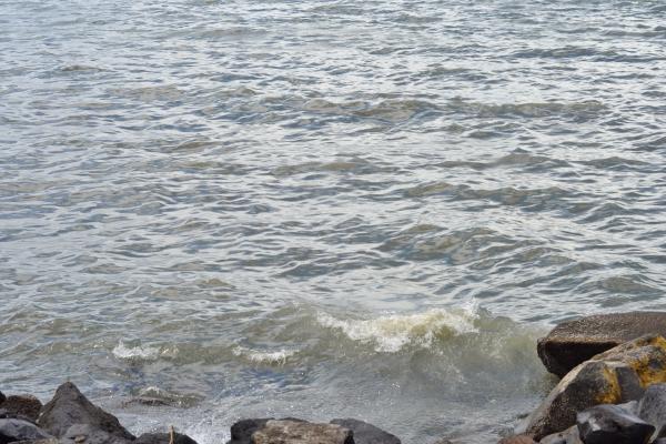 Rock and The Tide