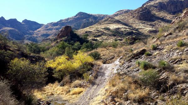 ROCK CORRAL CANYON - Atascosa Mts (12-22-13) (3)