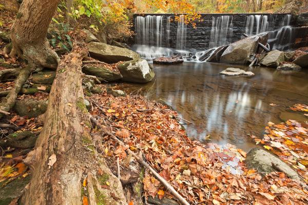 Rock Run Autumn Falls