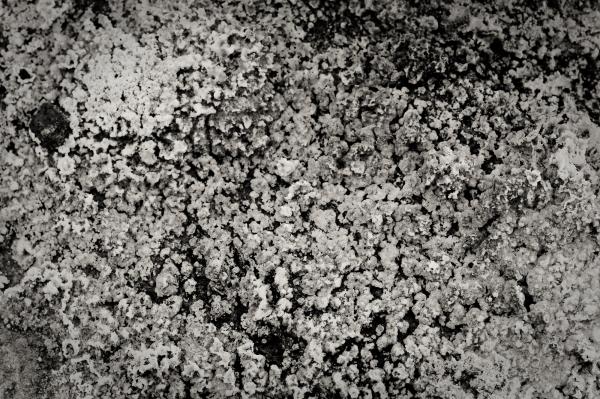 Rock Surface