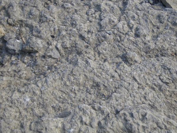 Rock Surface Texture