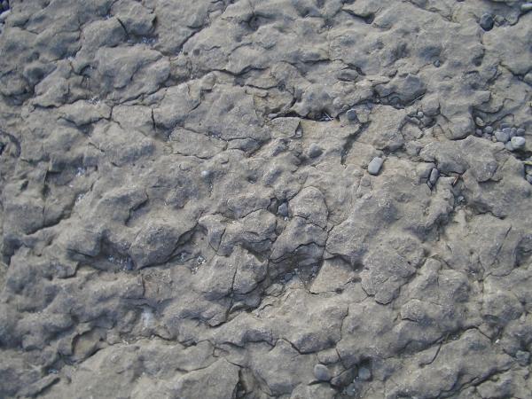 Rock surface texture