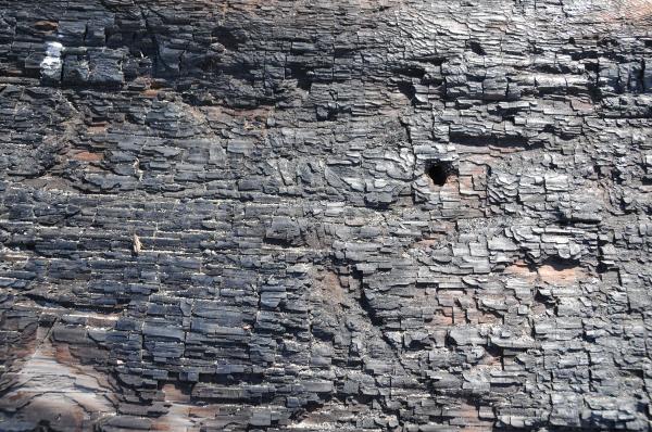 Rock Texture