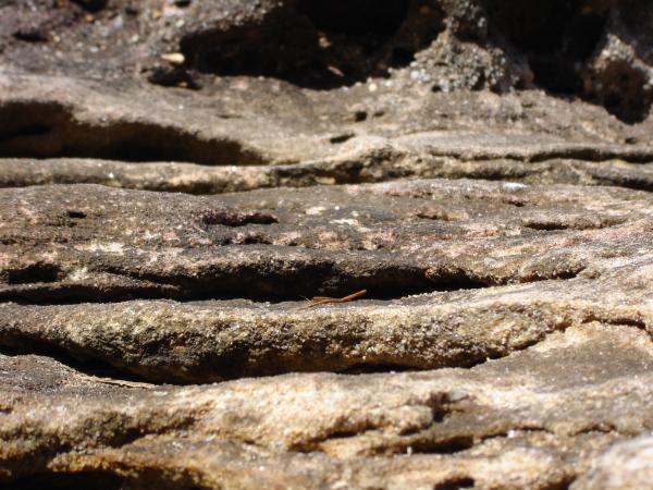 Rock texture