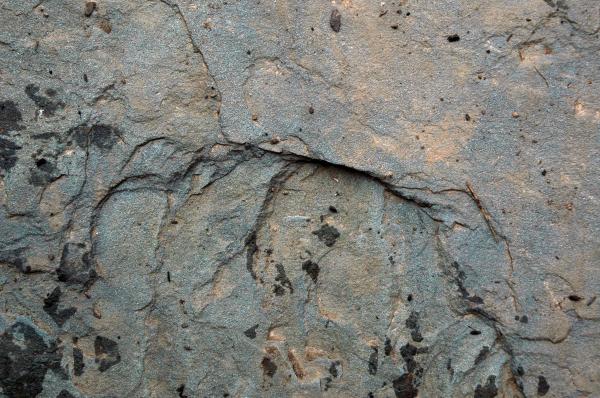 Stone texture