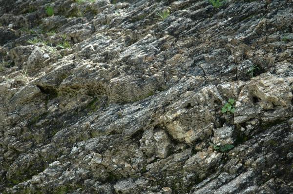 Rocks