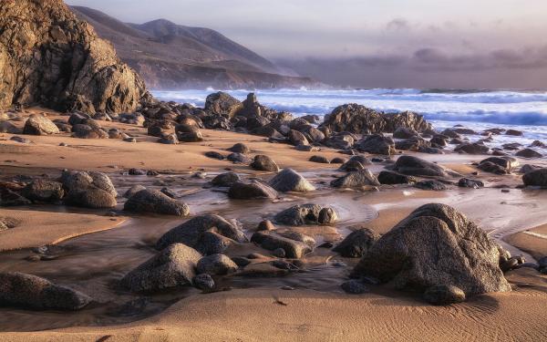 Rocks at Shore