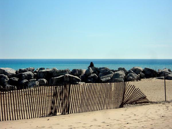 Rocks at the Beach