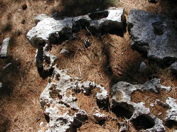 Rocks in grass