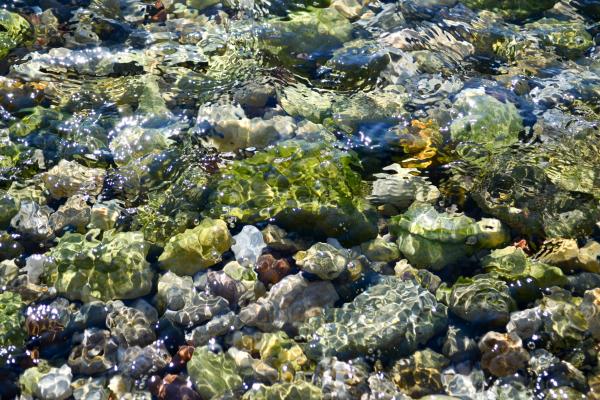 Rocks in the water