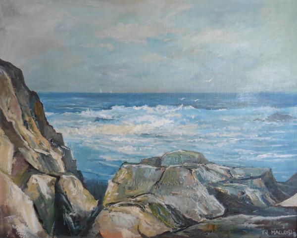 Rocky Shore