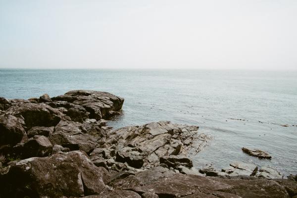 Rocky Shore