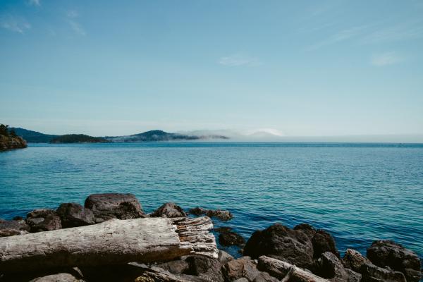 Rocky Shore