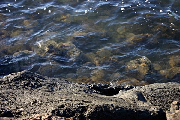 Rocky shore