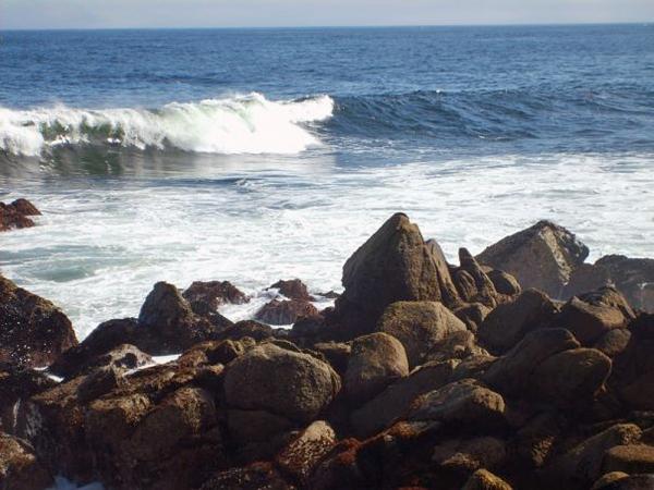 Rocky Shore