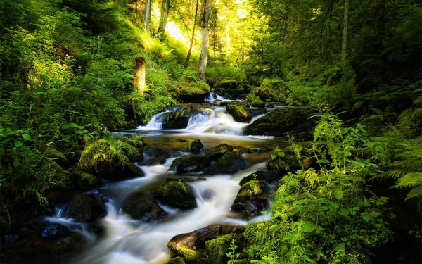 Rocky Stream Background