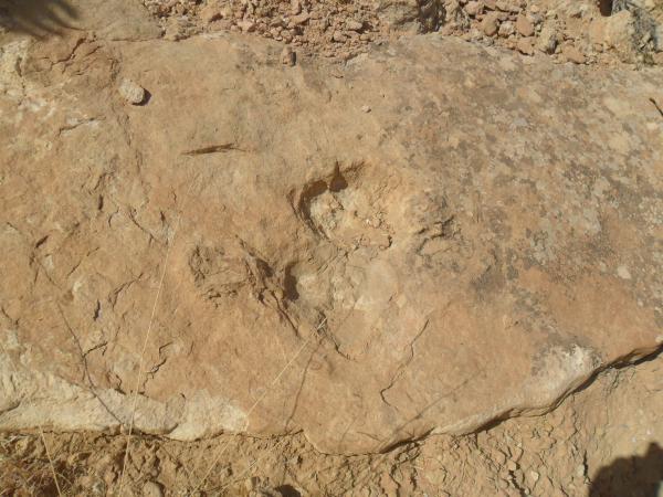 Rocky Texture