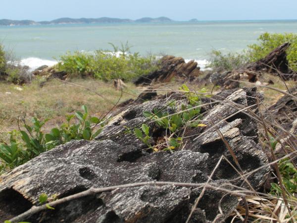 Rocky Tropical Coastline