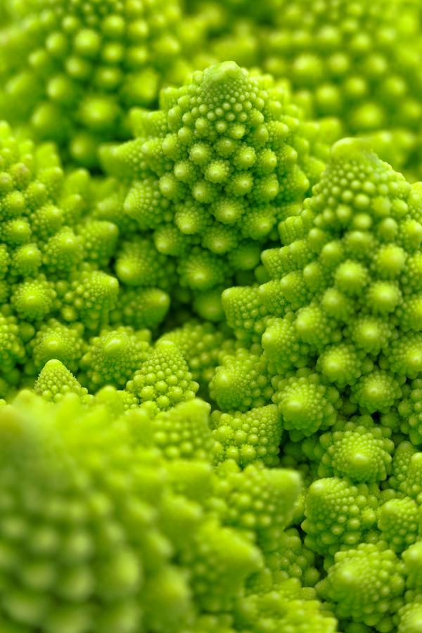 Romanesco Broccoli - HDR Macro