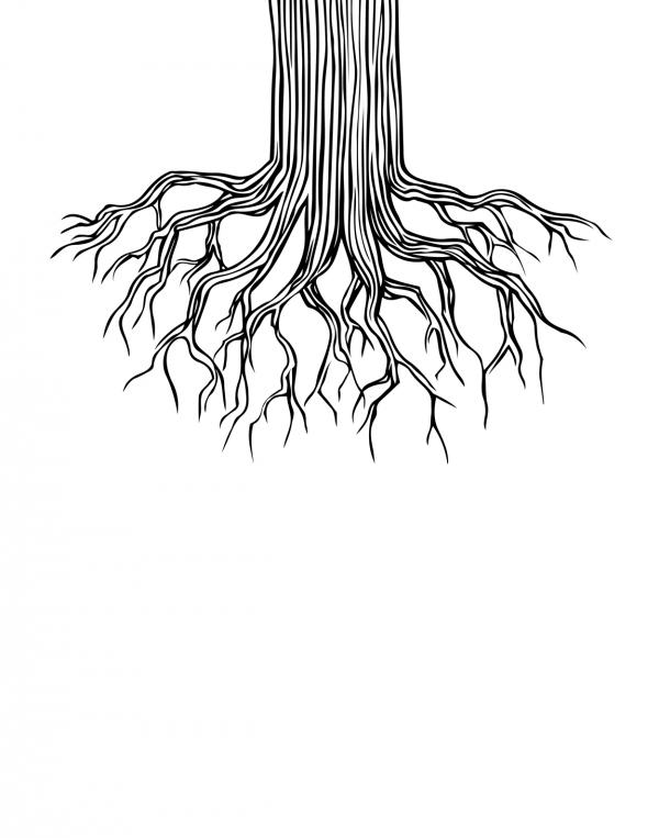 Tree roots