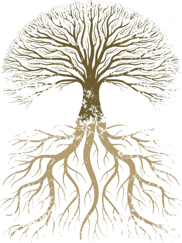 Roots of life