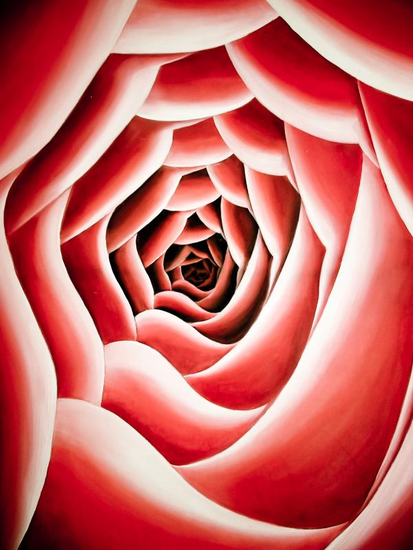 Rose painting