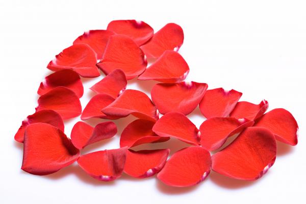 rose petals