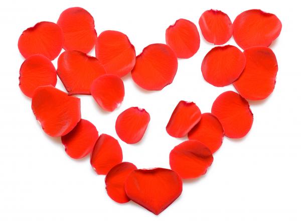 rose petals
