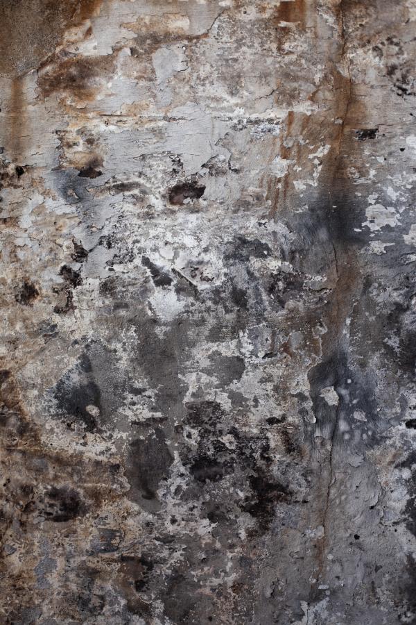 Rotten Grunge Surface