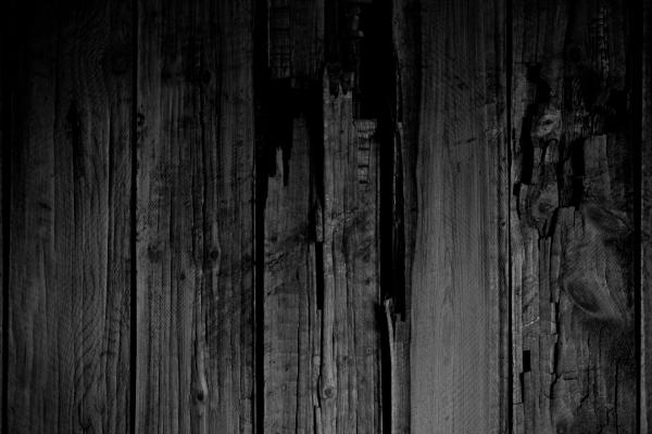 Rotten Wood Texture