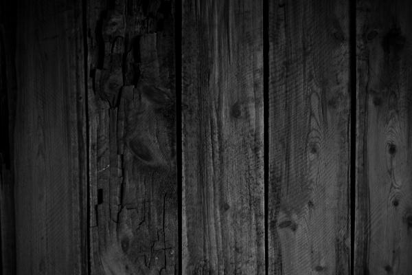 Rotten Wood Texture