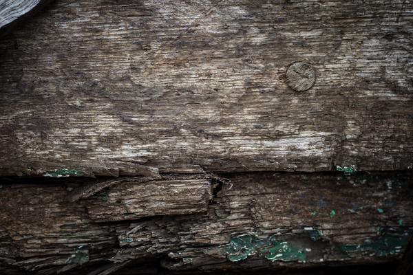 Rotten Wood Texture
