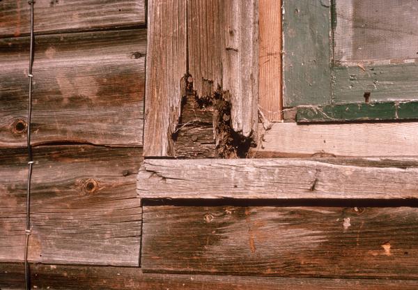 Rotting Wood Frame
