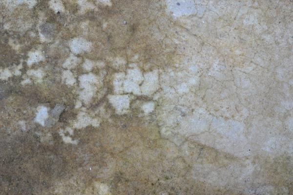 Rough and Grunge Wall Texture