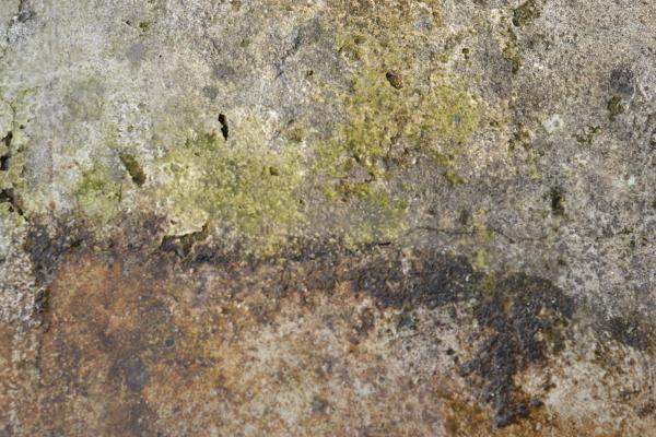 Rough and hardcore wall texture