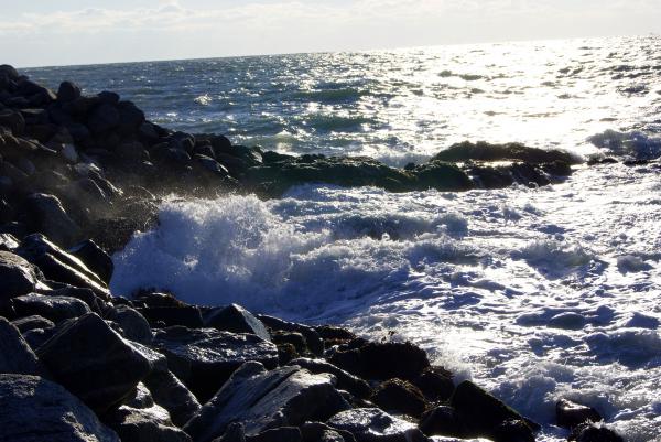 Rough Surf