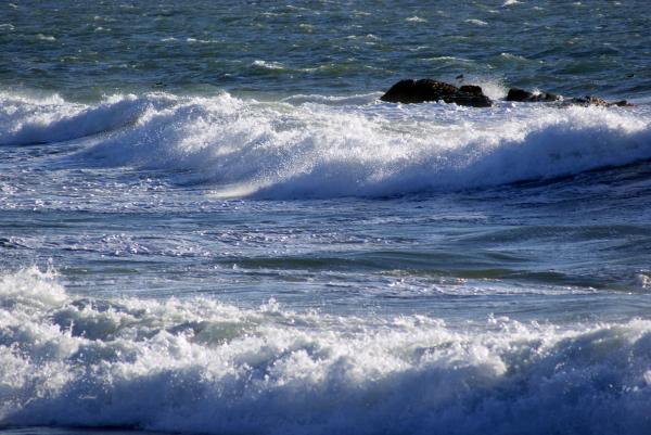 Rough Surf