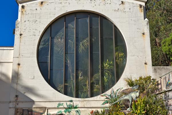 Round Tropical Window - HDR