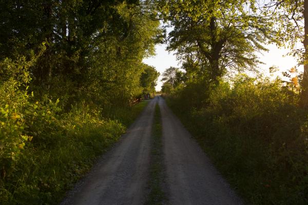 Route