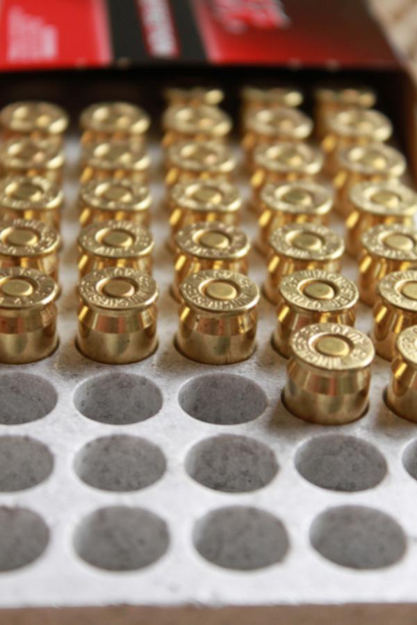Row of bullets