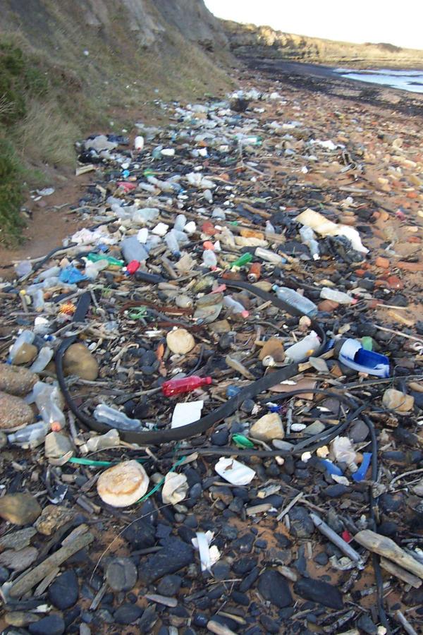 Rubbish