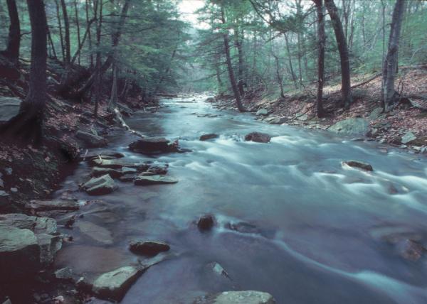 Running Stream