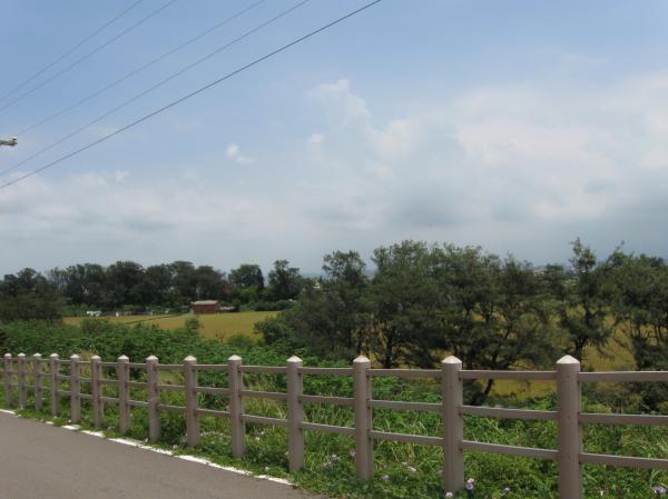 Rural Scene