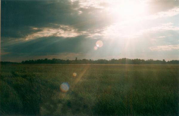 Russian Steppe Landscape