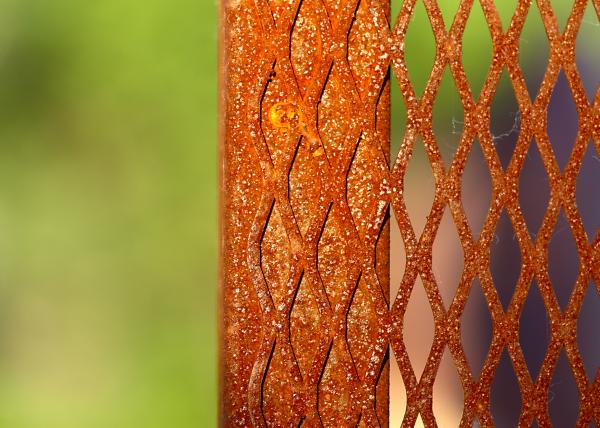 Rusted fence