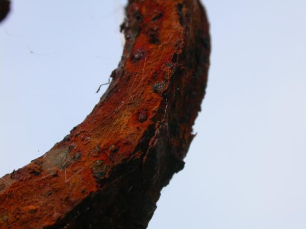 Rusted metal